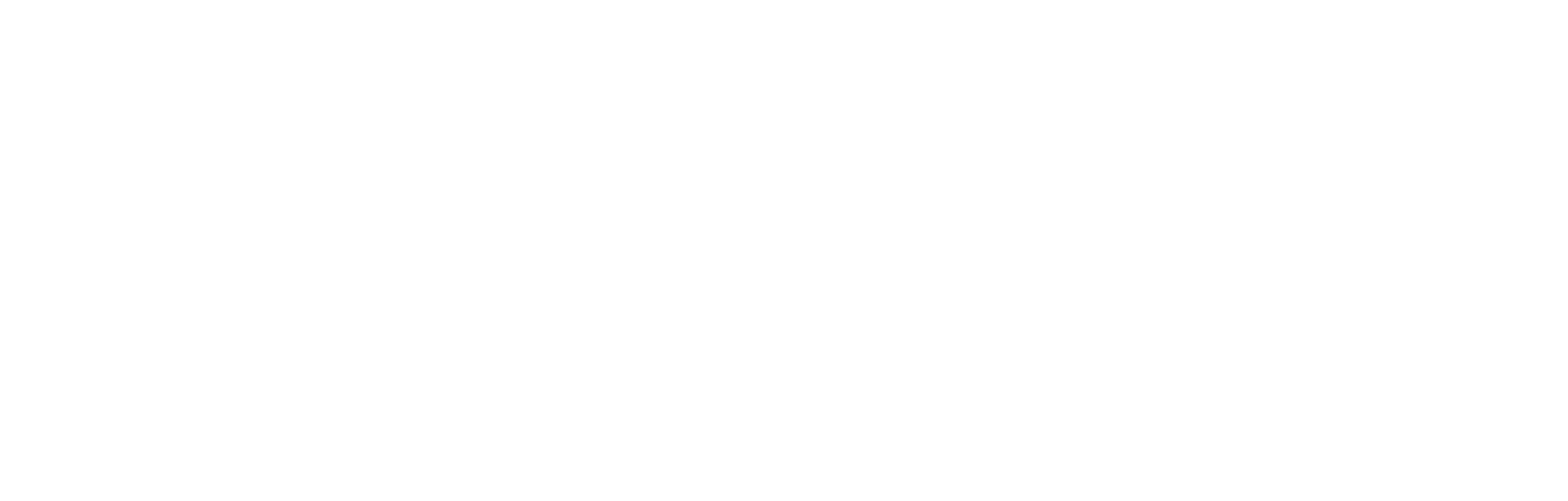 EMPRESA-3